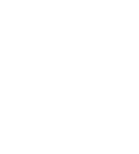 Dakota Hawk Logo white